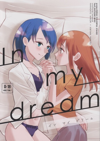 In my dream cover