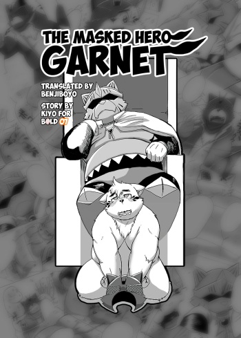 The Masked Hero Garnet cover