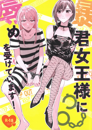 Bokun Jyoousama ni hazukashime o ukete imasu! cover