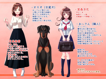 hgf cover