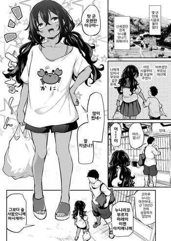 Sunen-buri ni Saikai Shita Shinseki no Onesan ga Nani mo Seicho Shite Nakatta Ken cover