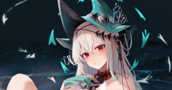 Skadi  （Uncensored） cover