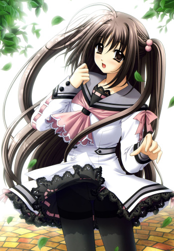 渡来明日香  俺たちに翼はない cover