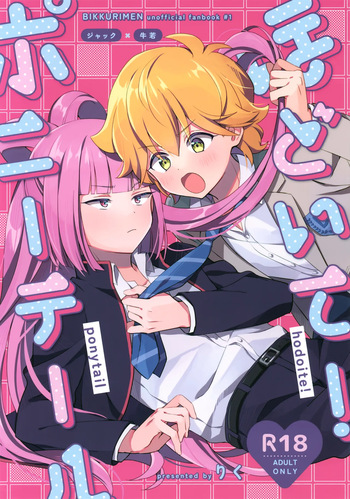 Hodoite! Ponytail cover