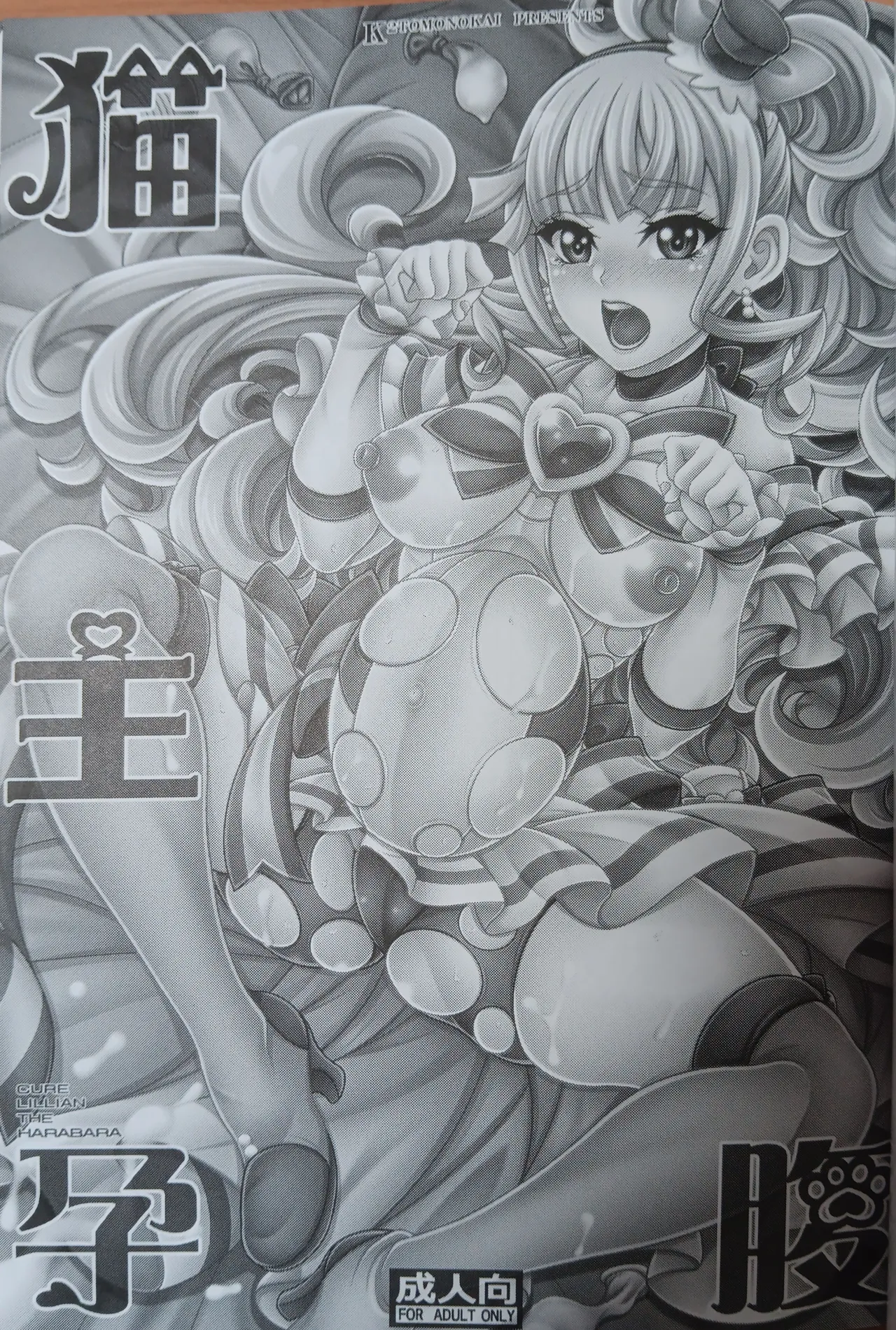 猫主孕腹 【写真】 page 2 full