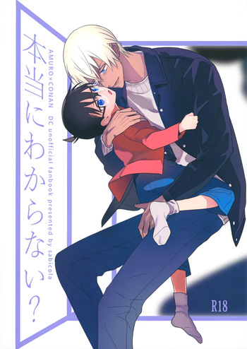 Hontou ni Wakaranai? cover