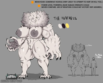 The Huntress cover