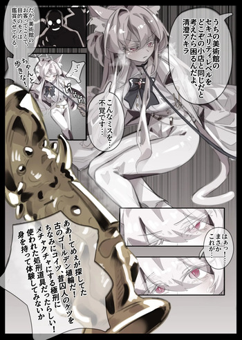 泥棒猫アキラ矯正展示プログラム cover