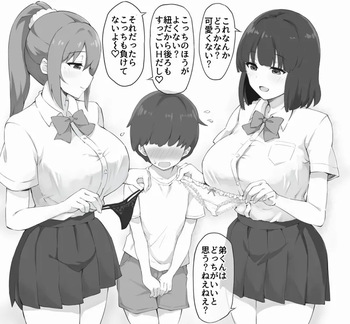 お姉ちゃん達の下着選びにつき合わされる弟くん cover