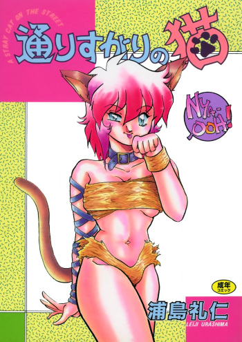 A Stray Cat on the Street cover
