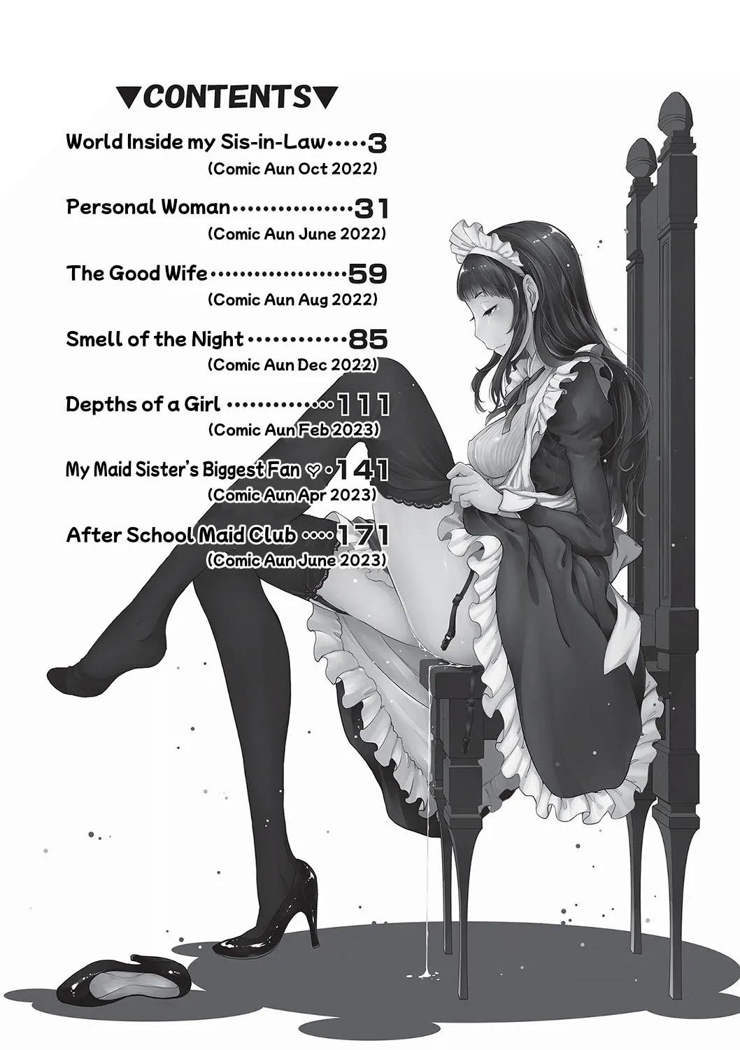 Maid Kitan - Maid Mysterious Story page 3 full