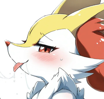 Braixen cover