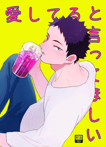 Ai shiteru to itte hoshi cover