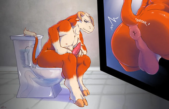 Apollo's Toilet cover