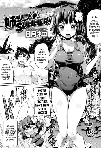 Summer with sis cover