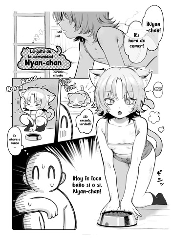 Chiiki Neko Nyan-chan | La gata de la comunidad, Nyan-chan cover