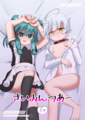 Saimintsu aa cover