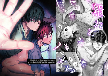 Fujun Osu Ana Kouyuu 3 -Himitsu no Sakusen Hen- | Illicit Bromance 3 -Secret Operation- cover