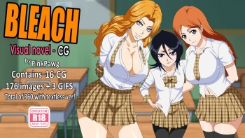 Bleach CG cover