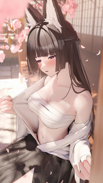 Miyabi cover