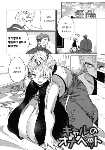 Gal no OnaPet - Gal's Onapet Ch. 5 | 갸루의 오나펫 5 cover