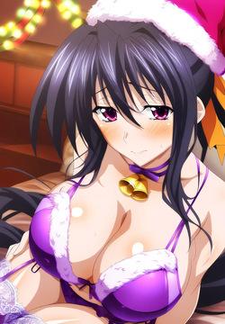 Highschool Dxd Christmas ai anime art hd