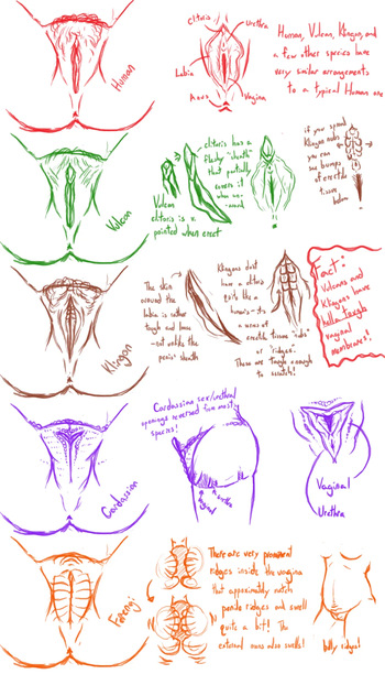 Alien genitalia cover