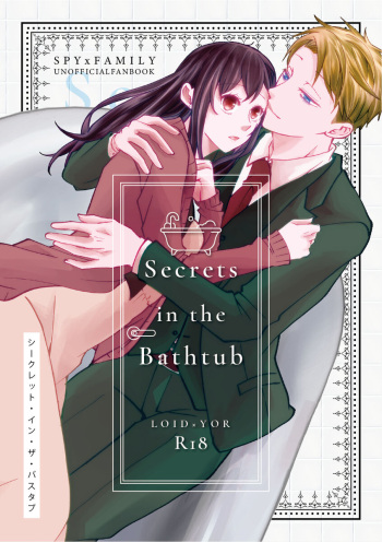 Secrets in the Bathtub cover