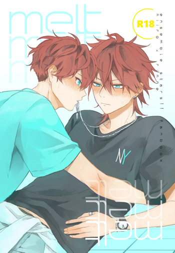 melt cover