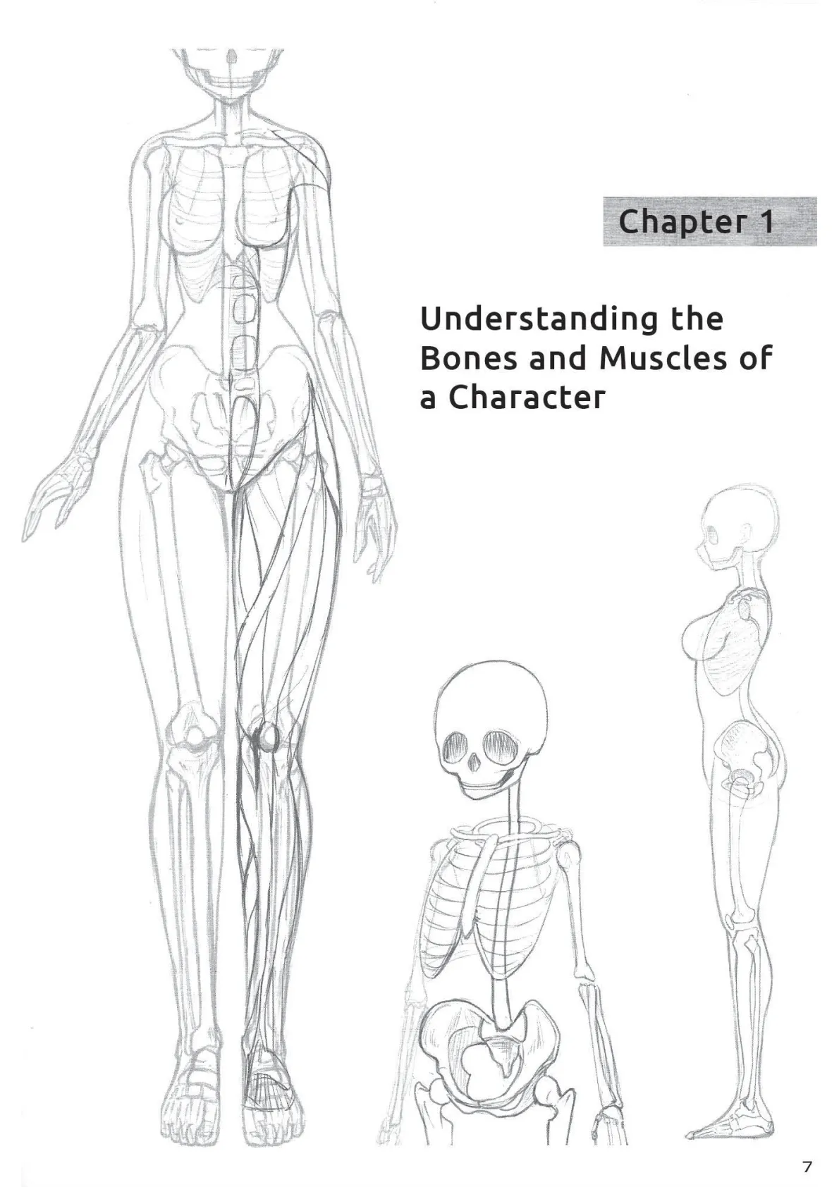 Drawing the Female Figure page 8 full