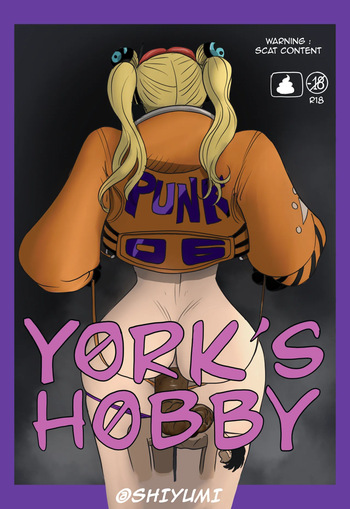 York’s Hobby cover