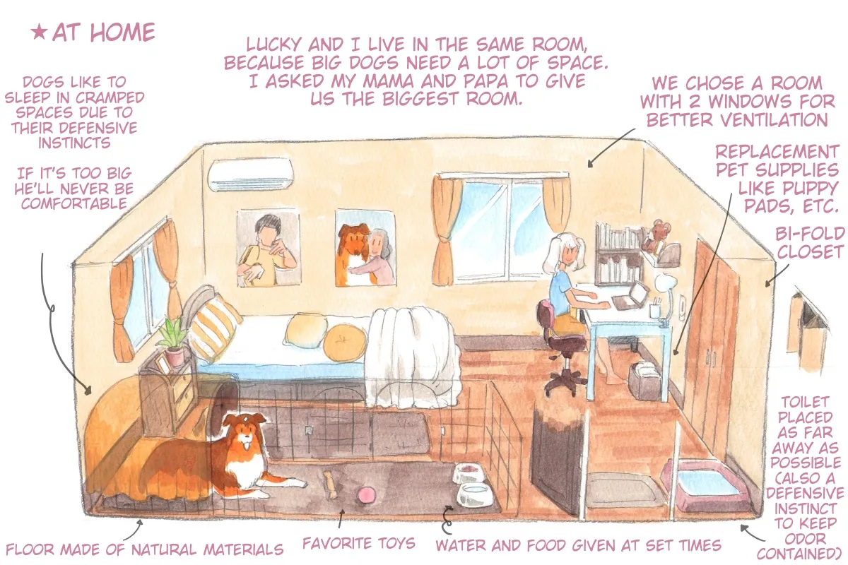 Himitsu no Inukko Club Sweet - Secret Puppy Club Sweet page 10 full