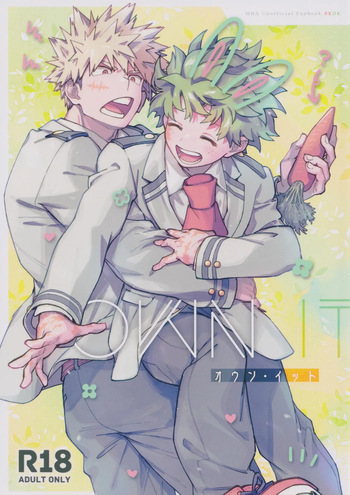 Own It cover