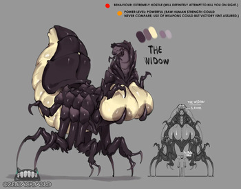 THE WIDOW cover