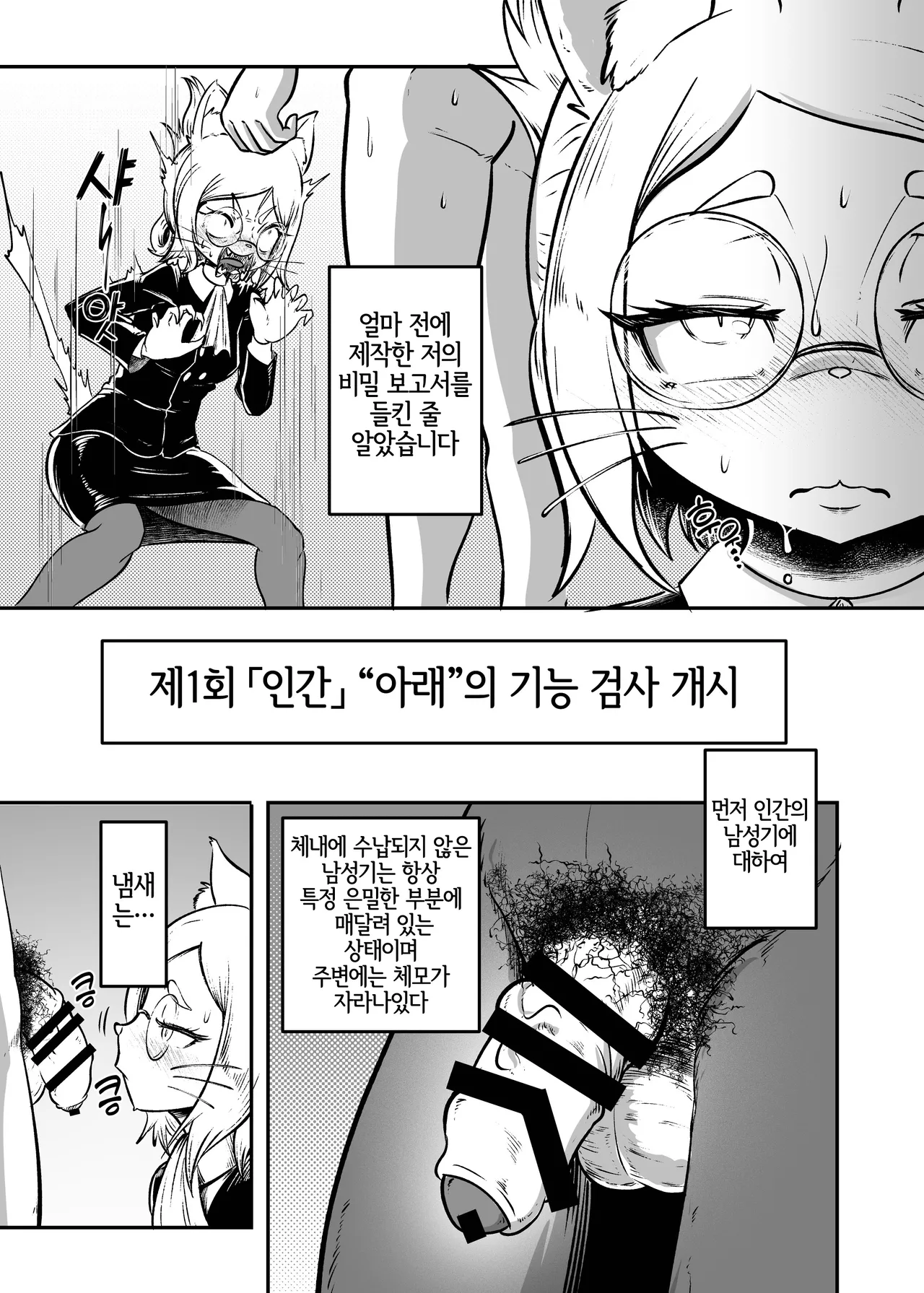 Tonelico Houdoukan no Ura Houkokusho page 8 full