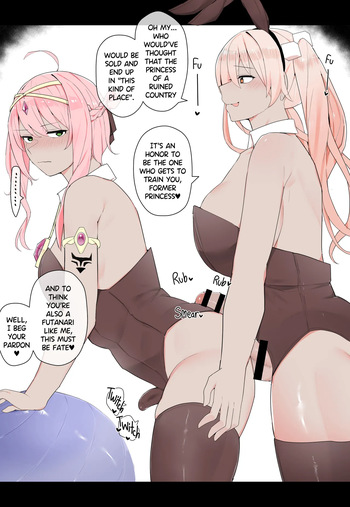Bunny Girl Training a Former Princess cover