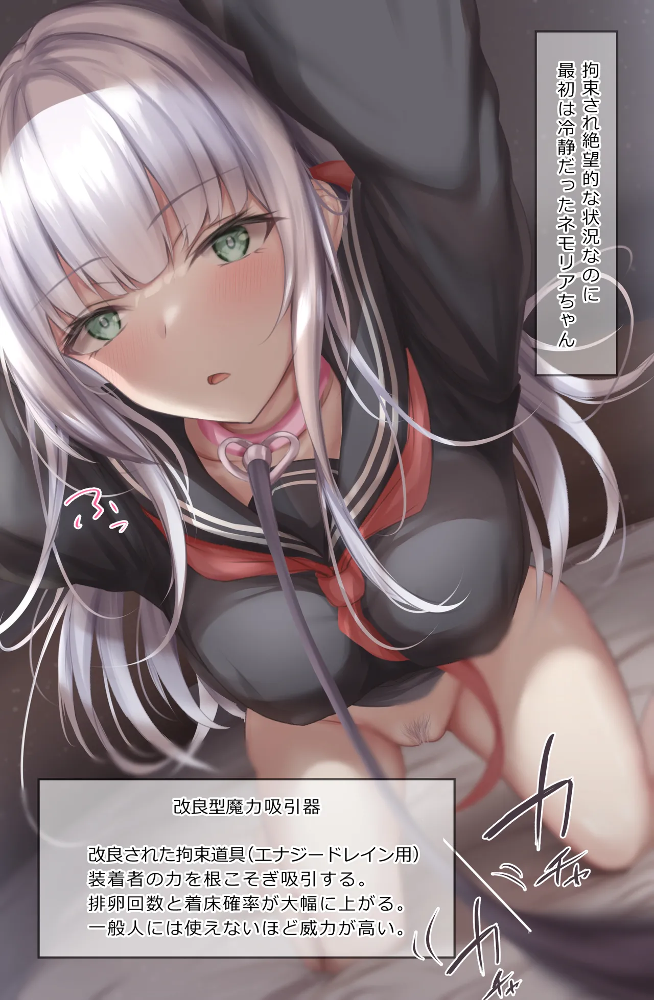 貴重な銀髪遺伝子に固定種付けバック page 1 full