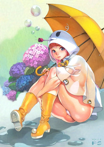 F.S cover