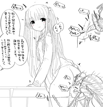 Untitled cover