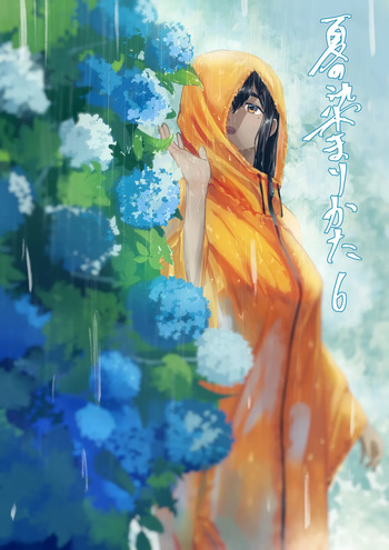 Natsu no Somarikata 6 | L'été des découvertes 6 cover