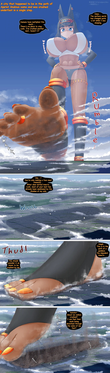 Various English Translations cover
