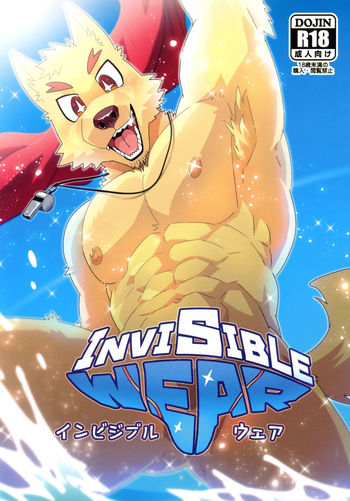 Invisible Wear cover