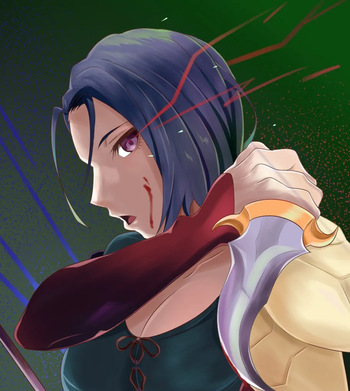 Fox's Fire Emblem works cover