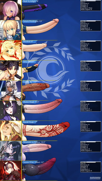 Fate Futa Charts cover