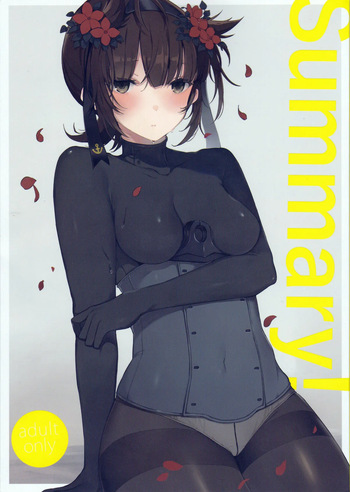 Summary cover