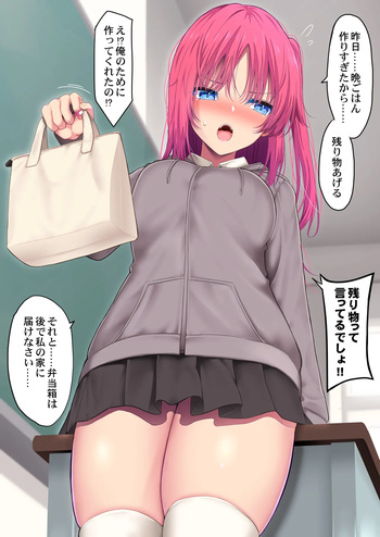頑張って弁当を作ってくれる女の子 cover