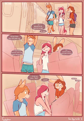 Too Big to Fit cover