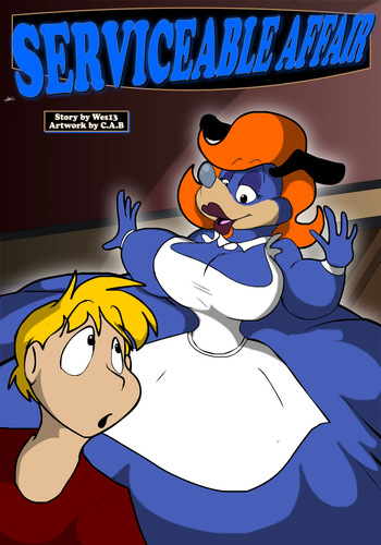 Serviceable Affair cover