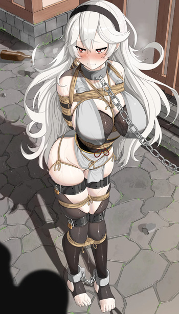 Corrin cover
