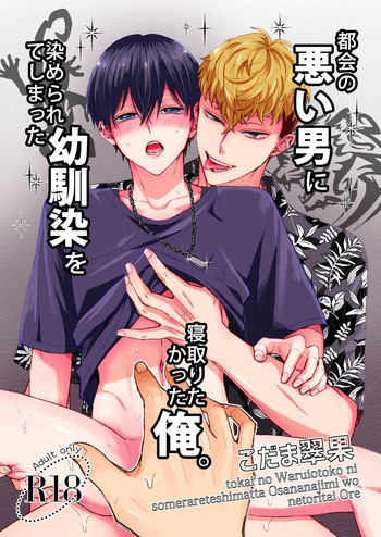 都会の悪い男に染められてしまった幼馴染を寝取りたかった俺。 cover